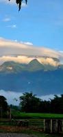 บ้านสวนแม่จันทร์เพ็ญ - B&B Chiang Dao