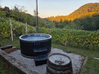 Robinson "Mountain getaway" with Private Hot Tub & Spa - B&B Gronji Macelj