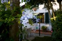Case Vacanza la Ventura - Bed and Breakfast