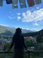 The Den Inn - B&B Manali