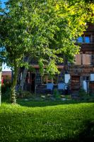 CapoBnB, 15 min from Interlaken, garden - B&B Aeschi b. Spiez