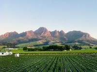Naby-My Stellenbosch Cottage - B&B Stellenbosch