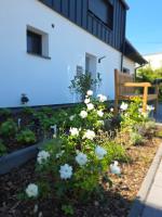 Panorama trifft Gemütlichkeit FeWo Weitblick - B&B Nümbrecht
