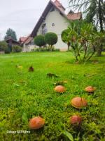 Noclegi Węgierska Górka - B&B Węgierska Górka