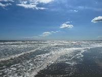 La Dolce Vita - Apartment with shared pool and large terrace - B&B Lido delle Nazioni