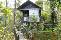Spice Valley Homestay - B&B Anaikal
