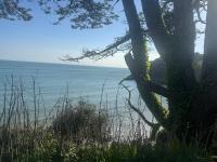 Casa Cwtch - B&B Mumbles