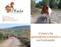 Apartamentos de Turismo Rural La Rocha - B&B Fortanete