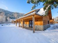 Alpenchalet am See - Ferienwohnung Afritz