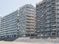 Tureluur - B&B Blankenberge