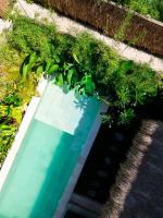 Marlaca Villa Selong - B&B Selongbelanak