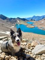 El Apartamento del Pirineo - B&B Sabiñánigo