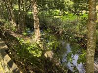 Riverside Congleton Flat, Parking, Nr LaplandUK - Ferienwohnung Congleton