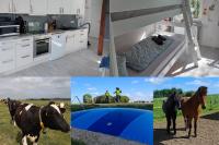 Sonnenblume - Bauernhof-Nordsee-Urlaub - B&B Norderfriedrichskoog