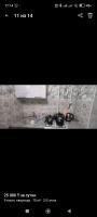 Бокейхан 64 - Ferienwohnung Kooperator