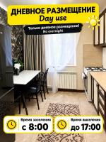 AeroHome 4 DAY USE! Внимание !!! Только дневное размещение !!! Информация о времени заселения и выселения на главном фото!!! - B&B Chişinău