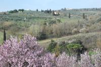 Gli Oleandri di Belfiore - B&B Lastra a Signa