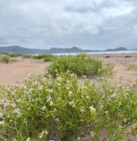 Charming holiday home Waterville, Kerry, Ireland - Chambres d'hôtes Waterville