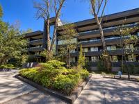 Departamento Pucón Andino Limited - Ferienwohnung Pucón