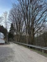 Schöne Unterkunft nahe Zentrum, Skipiste, Eishalle - Ferienwohnung Willingen (Upland)