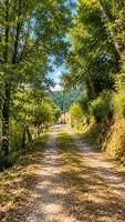 AmorQueCura - B&B Chitignano