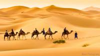 Camels House - B&B Merzouga
