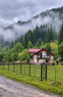 Pink House Karpaty - B&B Kryvorivnia