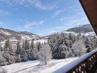 Appartement spacieux proche pistes, 9-10 pers, animaux, WIFI - FR-1-304-265 - B&B La Clusaz