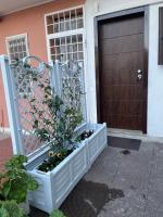 Le cicale - B&B Fiumicino