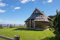 Chalet Velika Planina with Sauna - I FEEL ALPS - B&B Stahovica