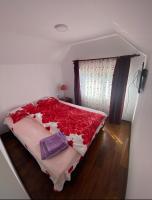 roata lui mitică - B&B Moișeni