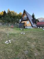 Winter Frame Chalet - B&B Bran