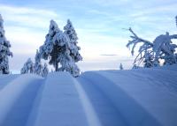 12 - Cabins at Fulufjellstunet - Winter Wonderland - Snow and Nature in Norway - B&B Ljørdalen