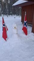 12 - Cabins at Fulufjellstunet - Winter Wonderland - Snow and Nature in Norway - B&B Ljørdalen