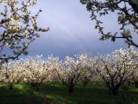 Agriturismo I Toschi - Ferienwohnung Vignola