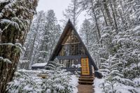 Modern A-Frame Cabin in the Woods - Bed and Breakfast Rhododendron