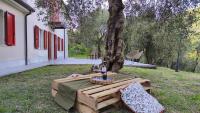 Al Colletto-Rosmarino Double Room - B&B Carrara