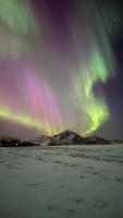 Your Secret Aurora Viewpoint in Central Leknes - Live like a local - B&B Leknes