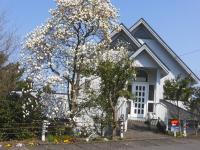Holiday Home Apple - B&B
