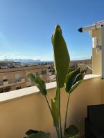 Bianca Atelier Suites - B&B Terrasini