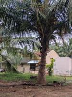 Sthira Farmstay - B&B Pollachi