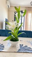 Prestige City Apartment near Diamond Mall - Chambres d'hôtes Skopje