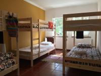 Bed in 6-Bed Mixed Dormitory Room
