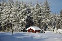 Cabin Dating from 1721 without internet - electricity or running water but with a traditional red painted outhouse - Ferienwohnung Ljørdalen