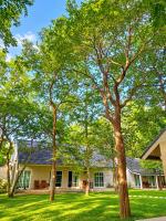 Into the Forest - B&B Ban Huai Talung