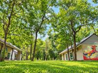 Into the Forest - B&B Ban Huai Talung