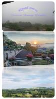 สิรีรินทร์ ภูหมอก - Bed and Breakfast Khao Kho