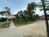 The Wild View Homestay Kaziranga Bagori - B&B Narjān