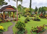 KARANG SARI Guesthouse & Warung - B&B Munduk