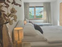 Appartement Schwemberger - B&B Ramsau im Zillertal